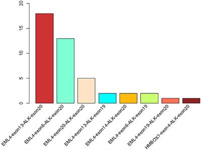 The Genomic Characteristics of ALK Fusion Positive Tumors in Chinese NSCLC Patients